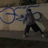 Gang Affilation