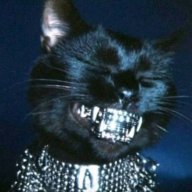 моня пухлый